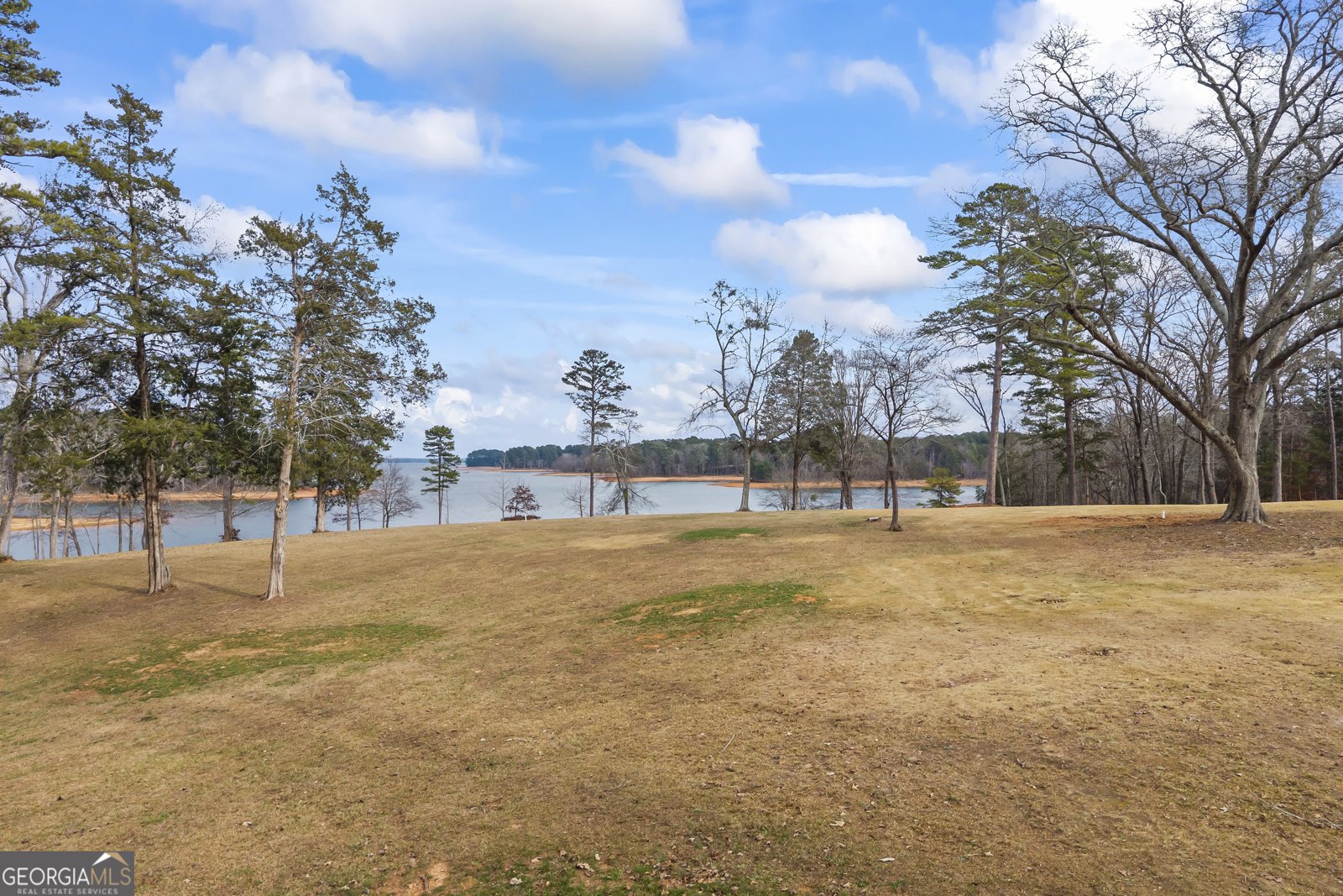 300 Black Point Drive Hartwell - Photo 140