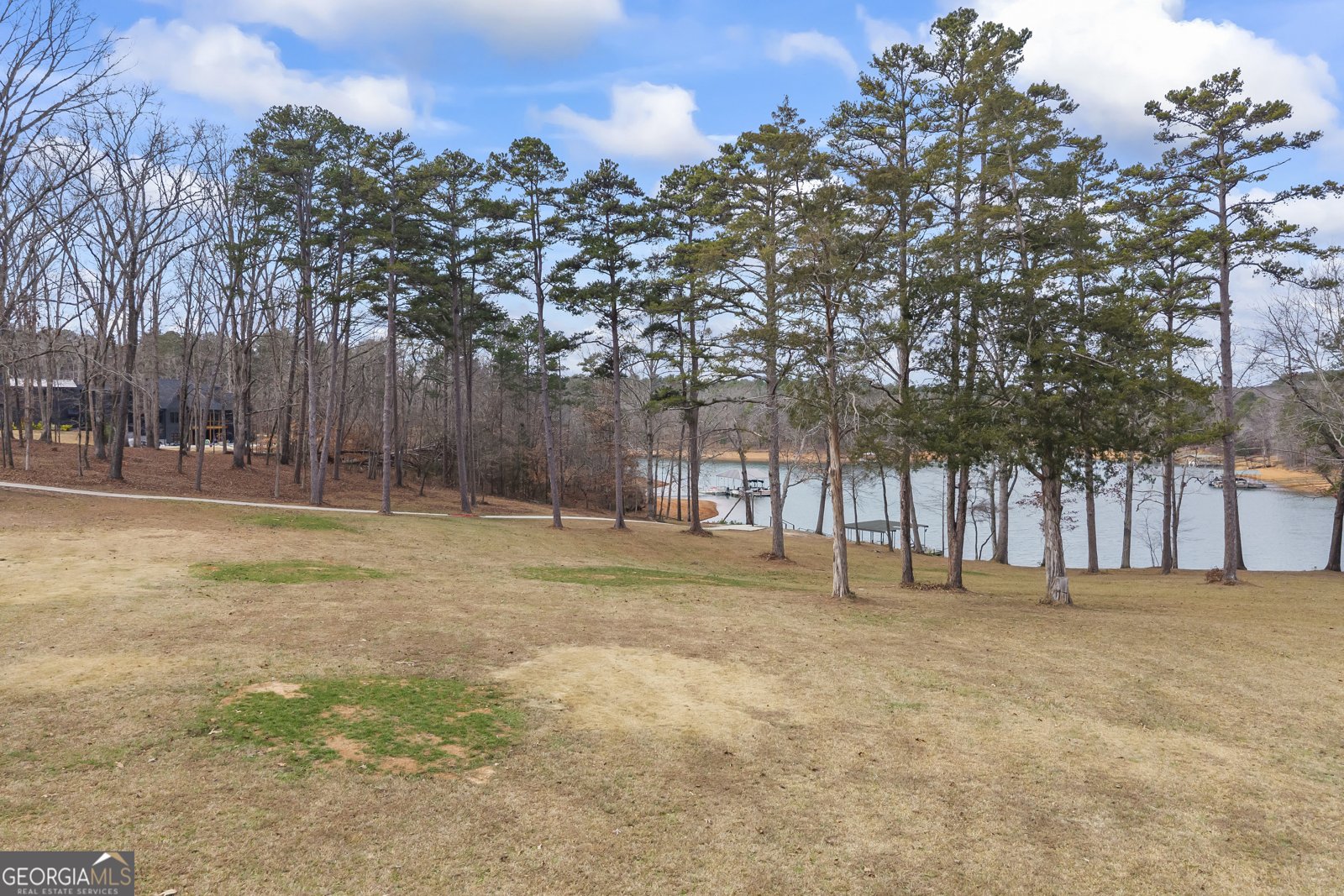 300 Black Point Drive Hartwell - Photo 143