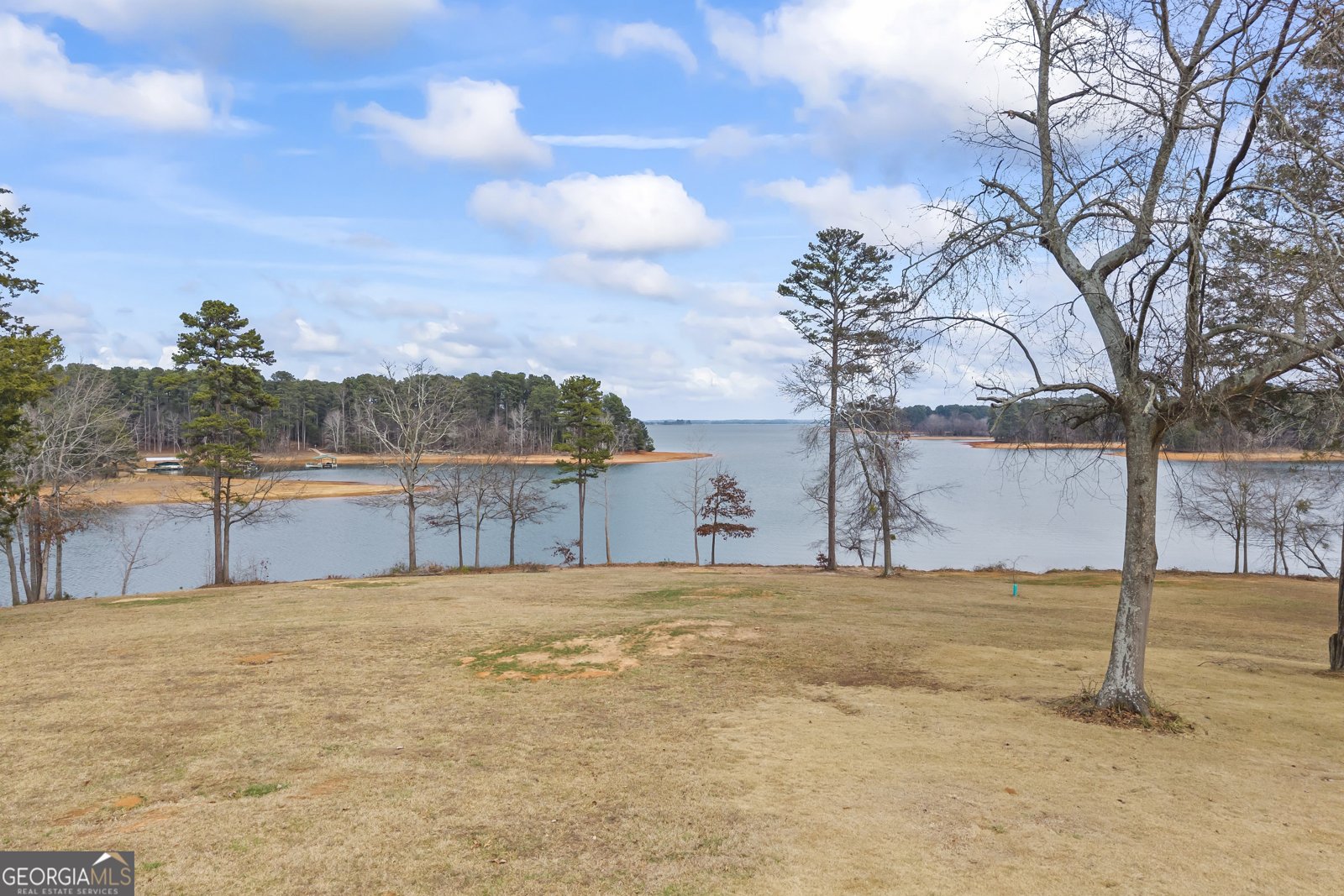 300 Black Point Drive Hartwell - Photo 144