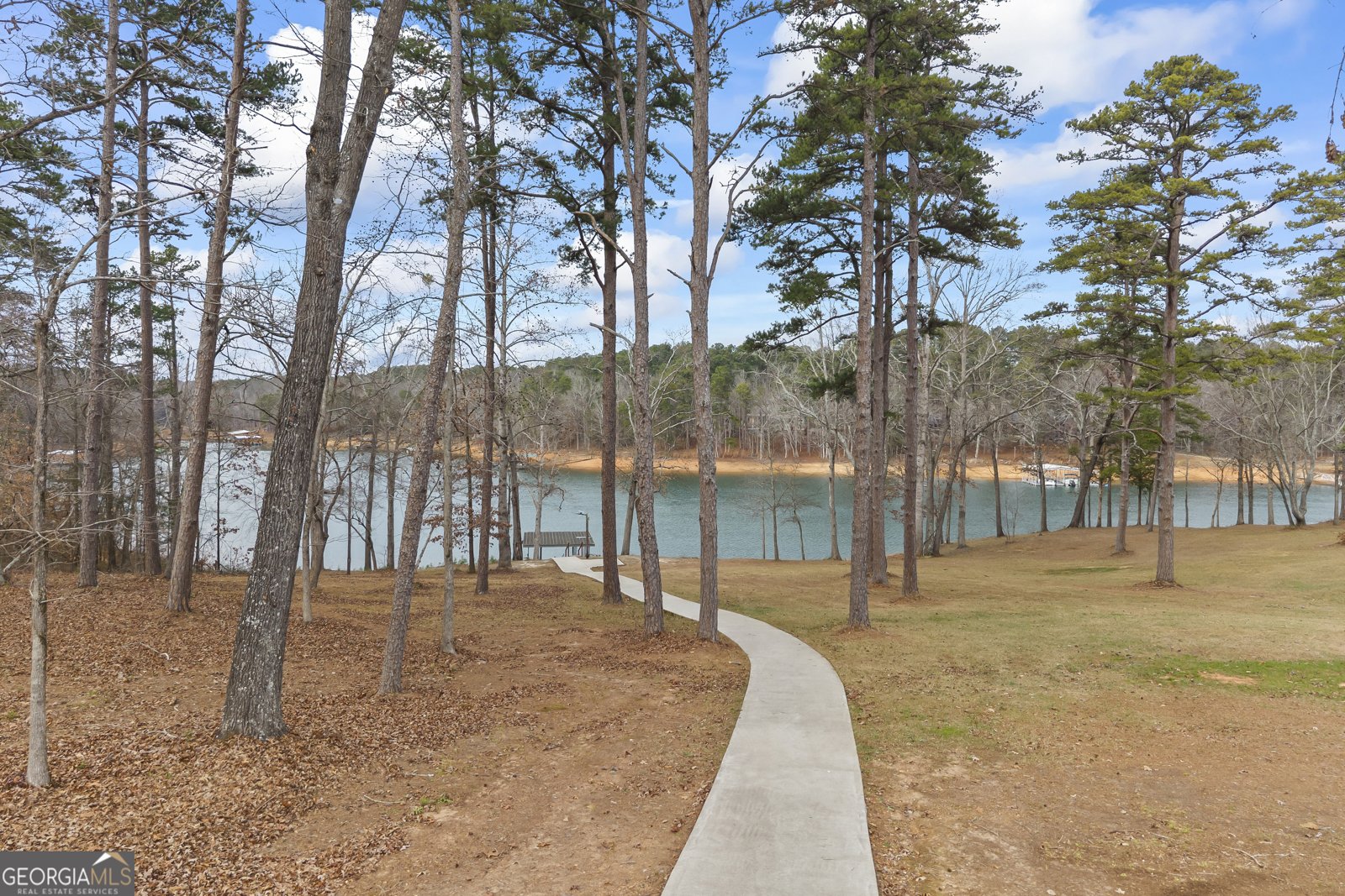 300 Black Point Drive Hartwell - Photo 9