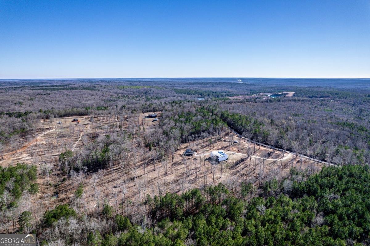 1351 Parker Hill Church Road Toomsboro - Photo 10