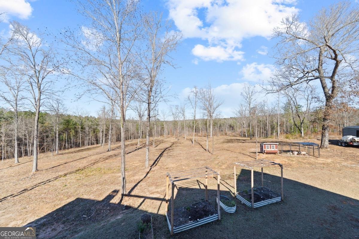 1351 Parker Hill Church Road Toomsboro - Photo 60