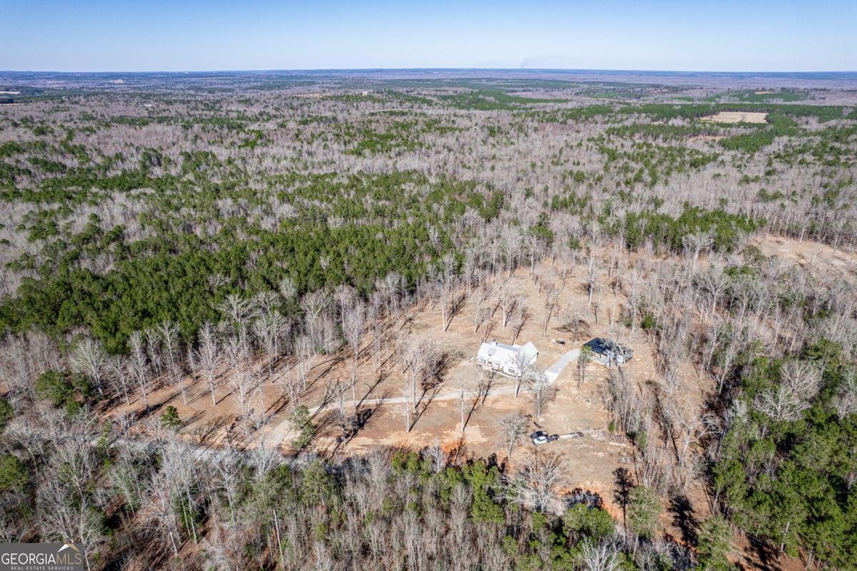 1351 Parker Hill Church Road Toomsboro - Photo 8