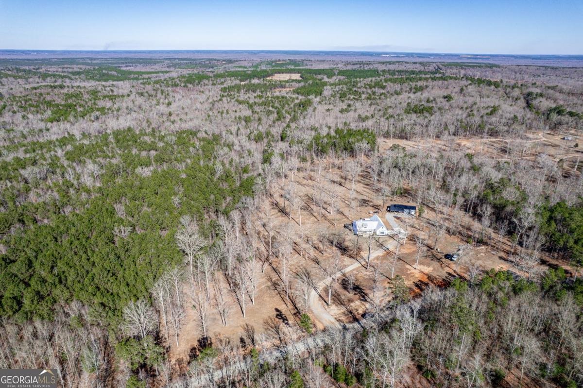 1351 Parker Hill Church Road Toomsboro - Photo 9