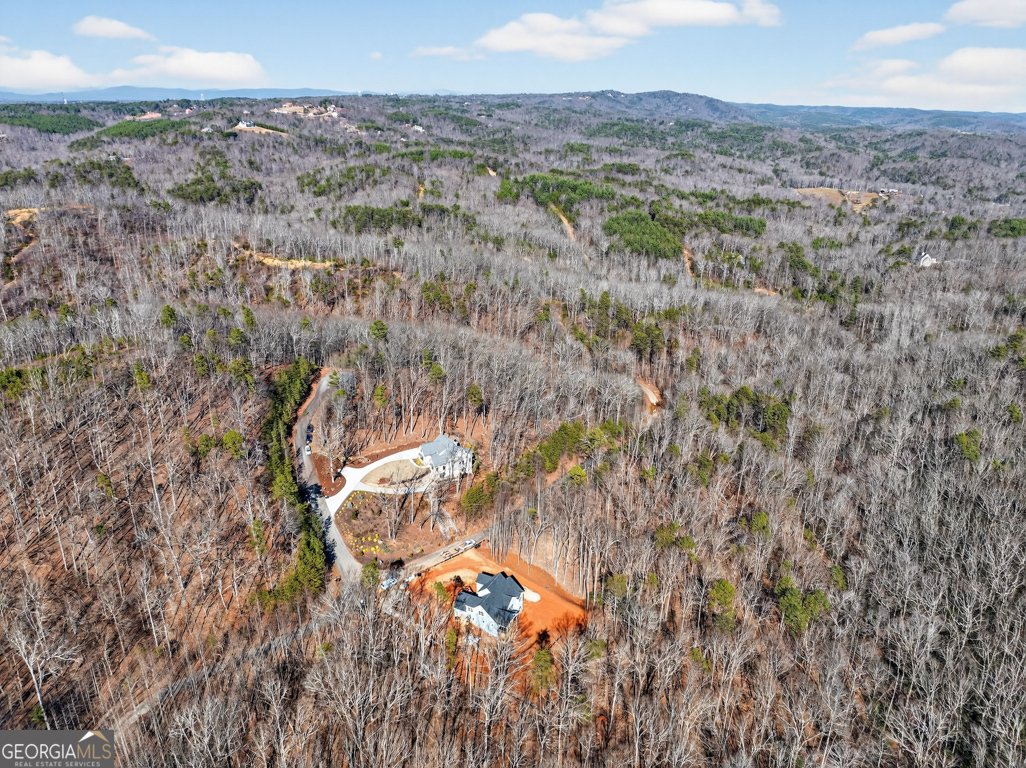 110 Planters Knoll Baldwin - Photo 84