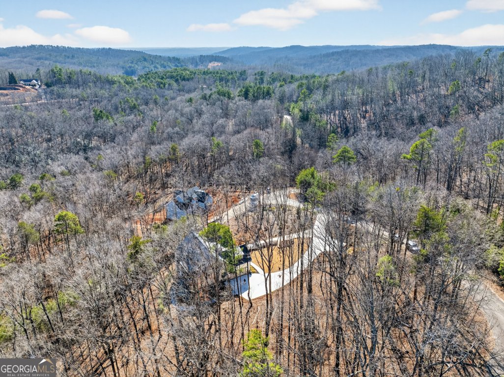 110 Planters Knoll Baldwin - Photo 86