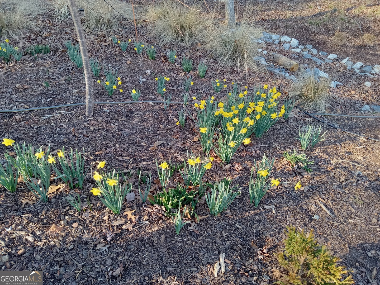 110 Planters Knoll Baldwin - Photo 98