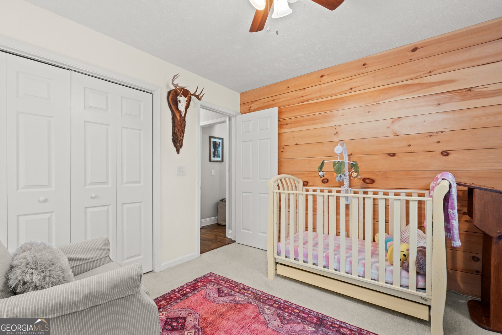 807 Hines Road Moreland - Photo 19