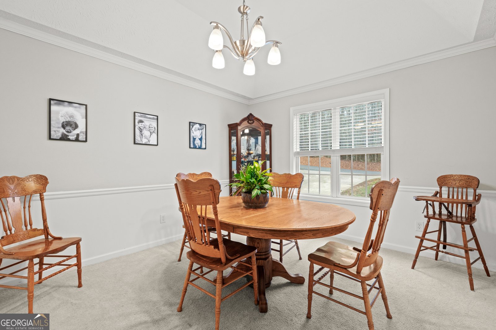 807 Hines Road Moreland - Photo 23