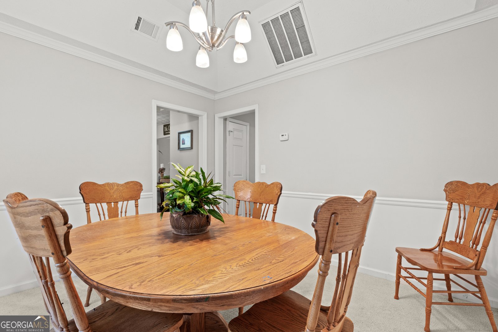 807 Hines Road Moreland - Photo 24