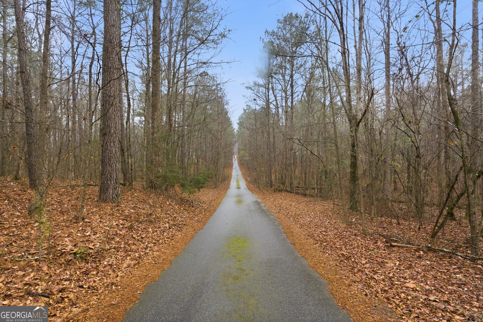 807 Hines Road Moreland - Photo 29