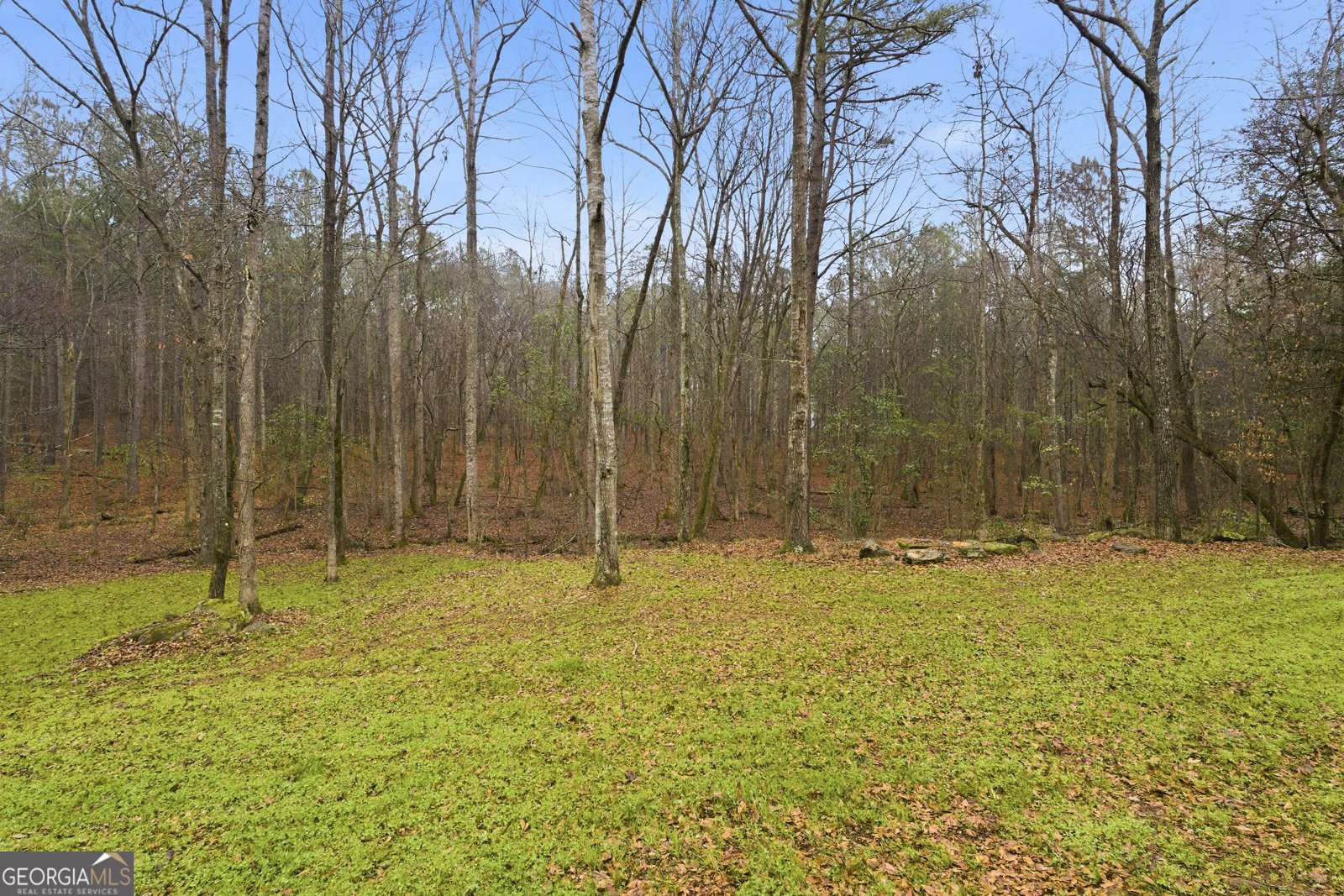 807 Hines Road Moreland - Photo 30