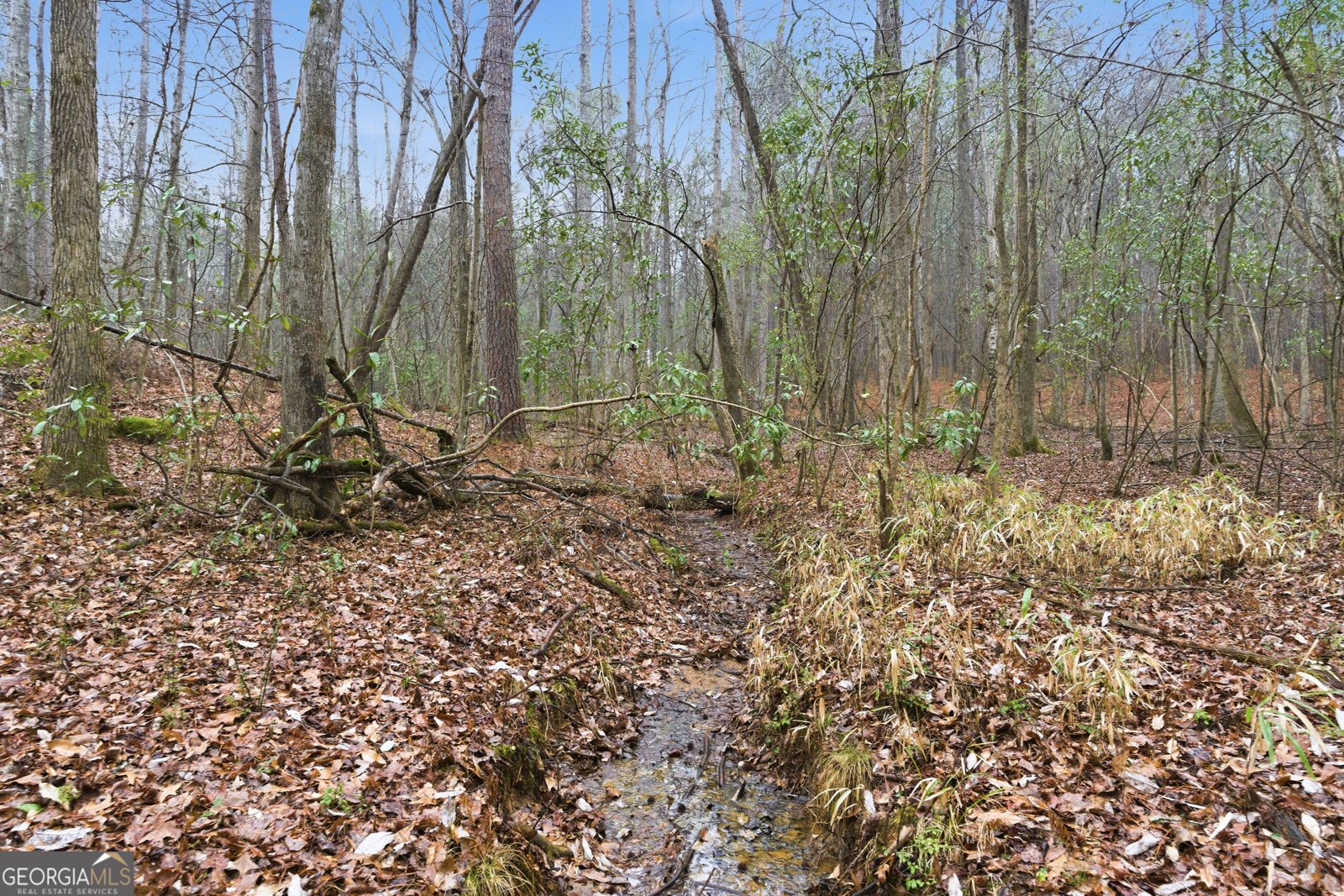 807 Hines Road Moreland - Photo 33