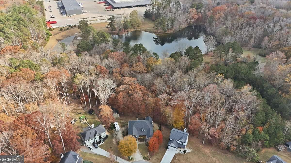 118 Ashley Pointe Drive Hiram - Photo 51