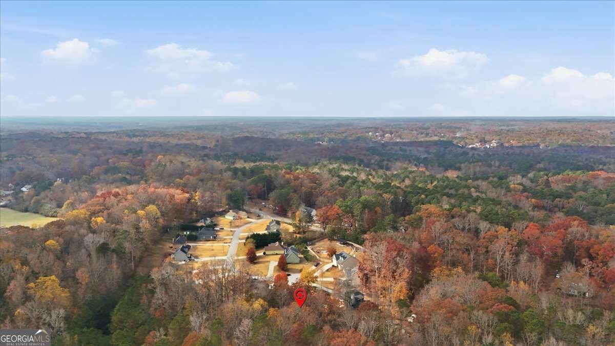 118 Ashley Pointe Drive Hiram - Photo 52