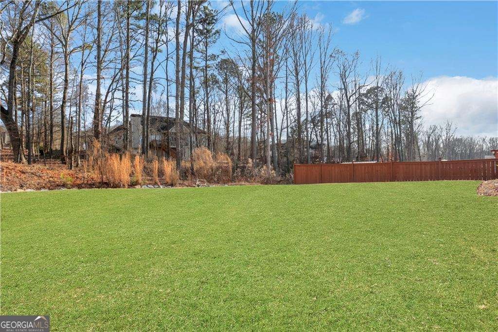 1413 Liberty Park Drive Braselton - Photo 59