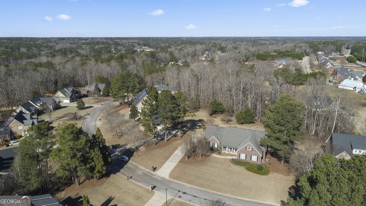 4108 Alayna Lee Circle McDonough - Photo 32