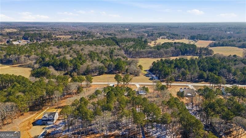 123 Georgia  Highway 211 Statham - Photo 43