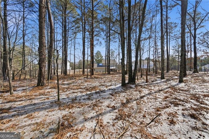 123 Georgia  Highway 211 Statham - Photo 44