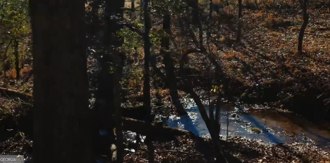 159 Prospect Trail Cleveland - Photo 46