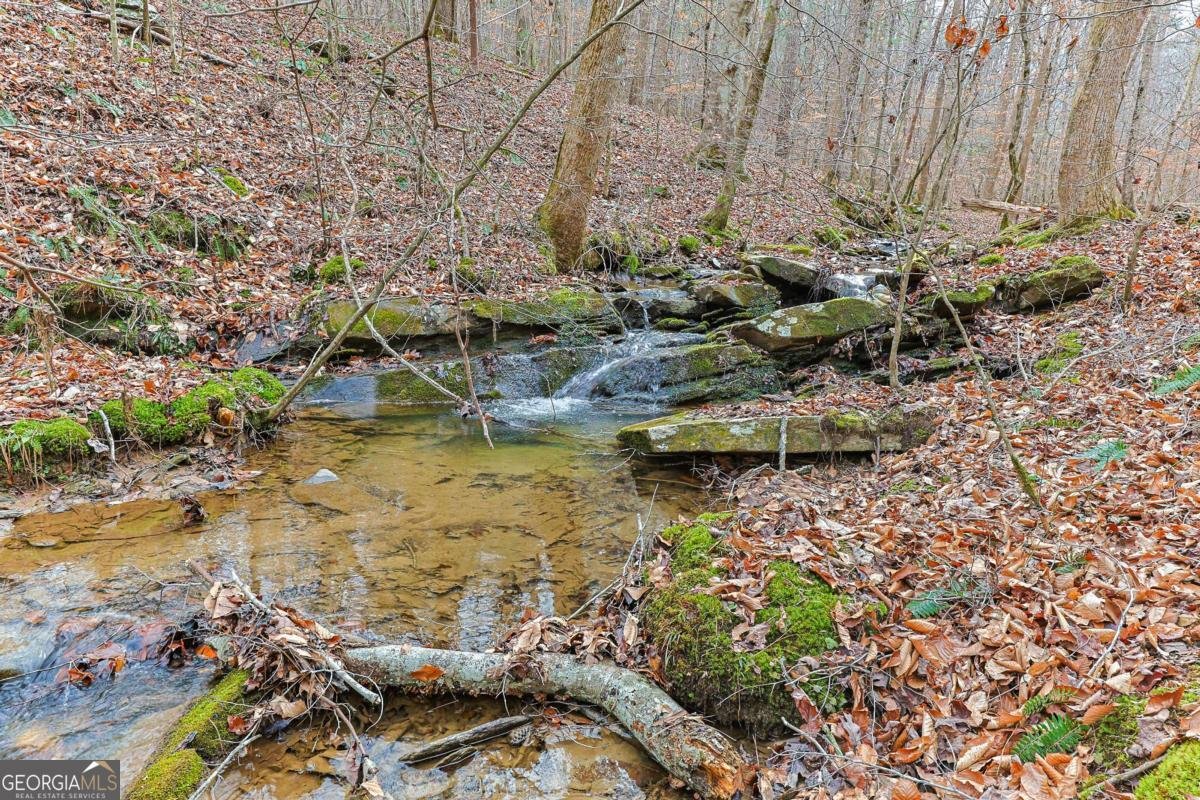 30 Chancel Circle Ellijay - Photo 18