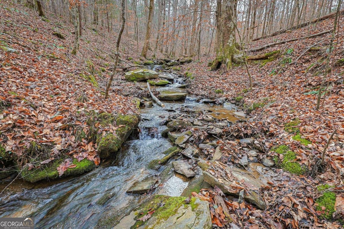 30 Chancel Circle Ellijay - Photo 19