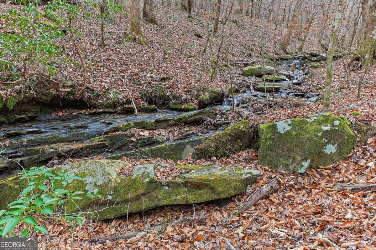 30 Chancel Circle Ellijay - Photo 23