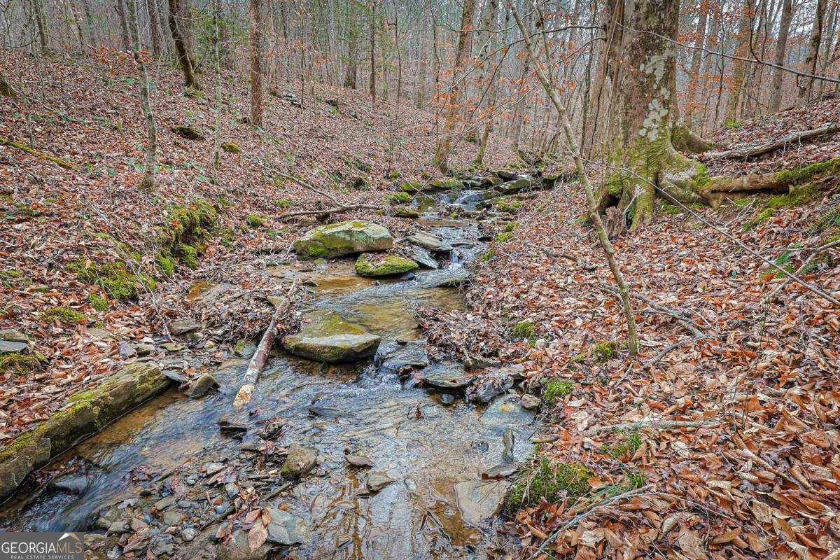 30 Chancel Circle Ellijay - Photo 27