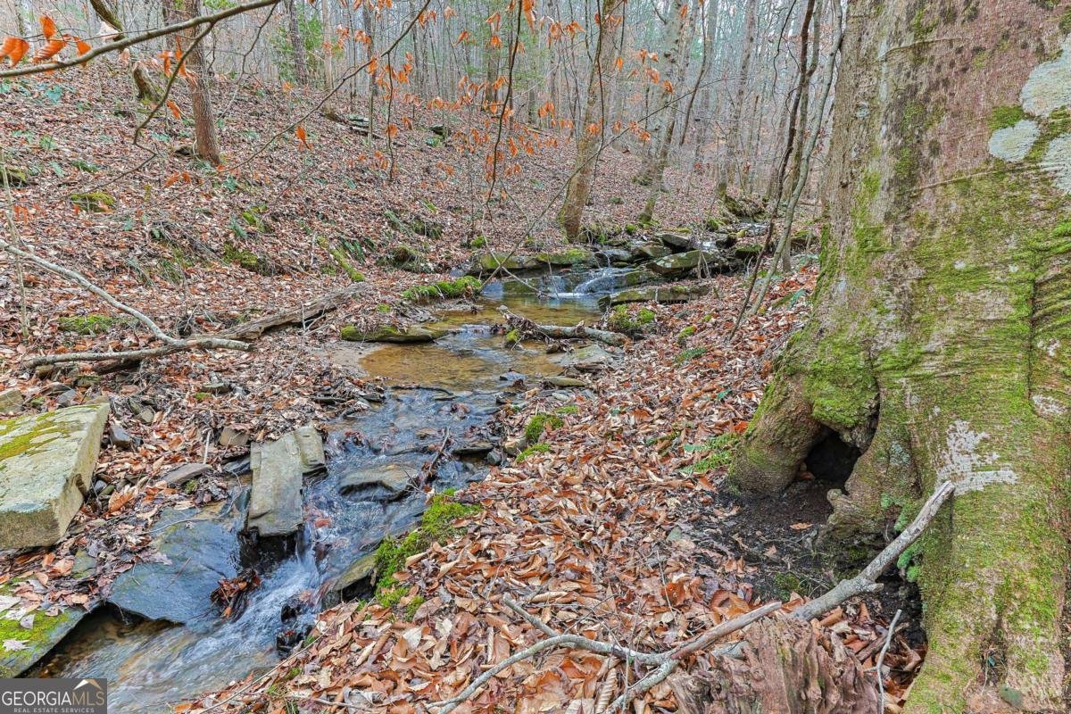 30 Chancel Circle Ellijay - Photo 32