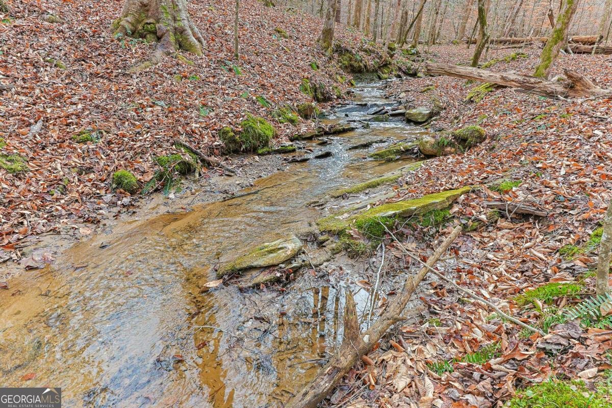 30 Chancel Circle Ellijay - Photo 39