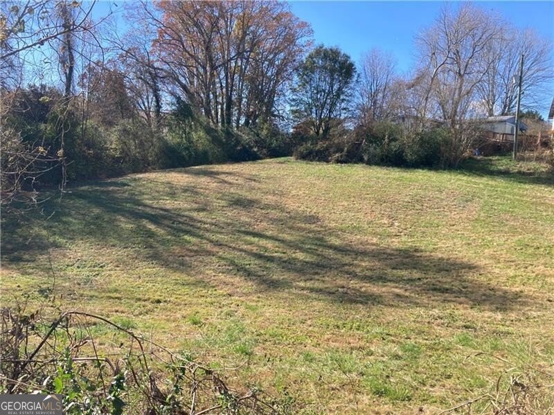 1004 Highway 9 Dawsonville - Photo 18