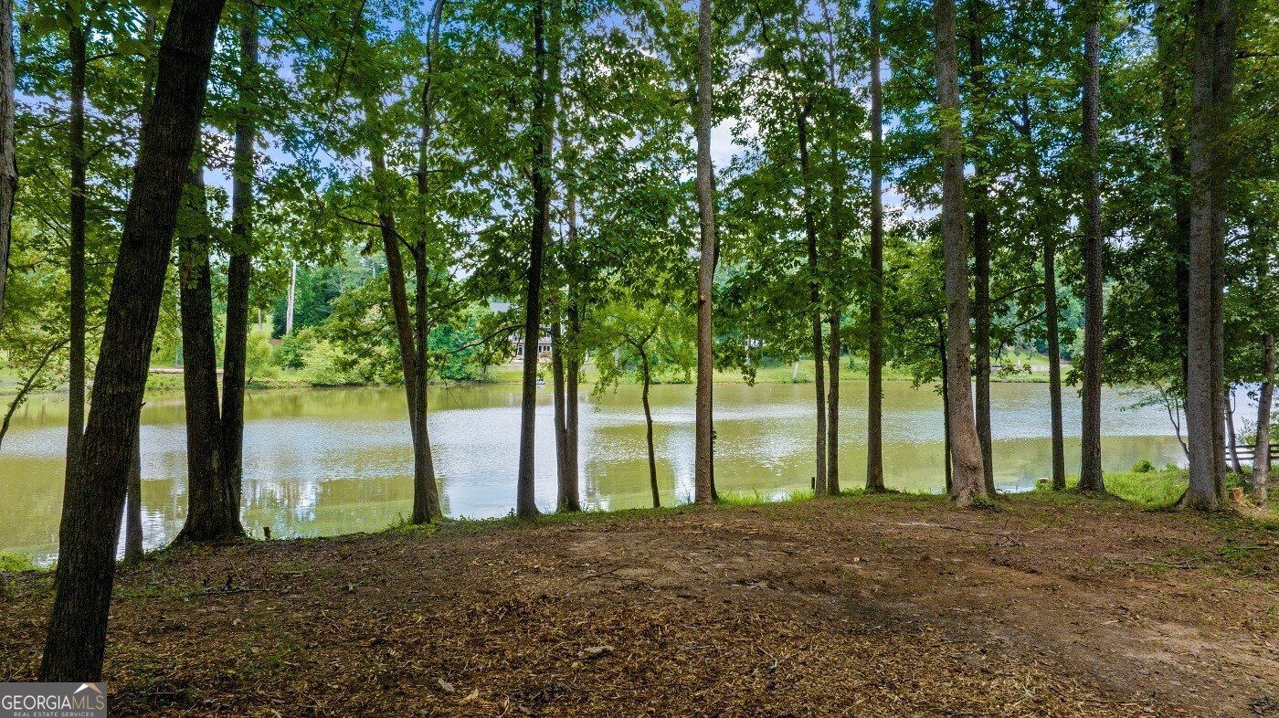 16280 Clarity Road Alpharetta - Photo 9