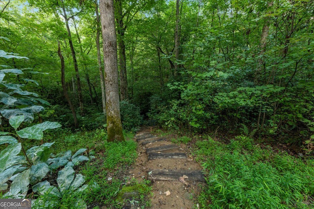 126 Brookwood Drive Blue Ridge - Photo 17