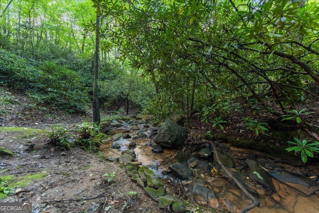 126 Brookwood Drive Blue Ridge - Photo 21