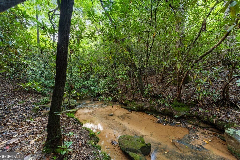 126 Brookwood Drive Blue Ridge - Photo 23