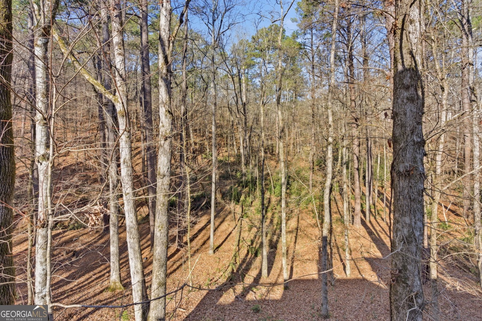 547 Byars Drive Macon - Photo 101