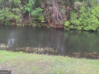 120 Magnolia Court Kingsland - Photo 12