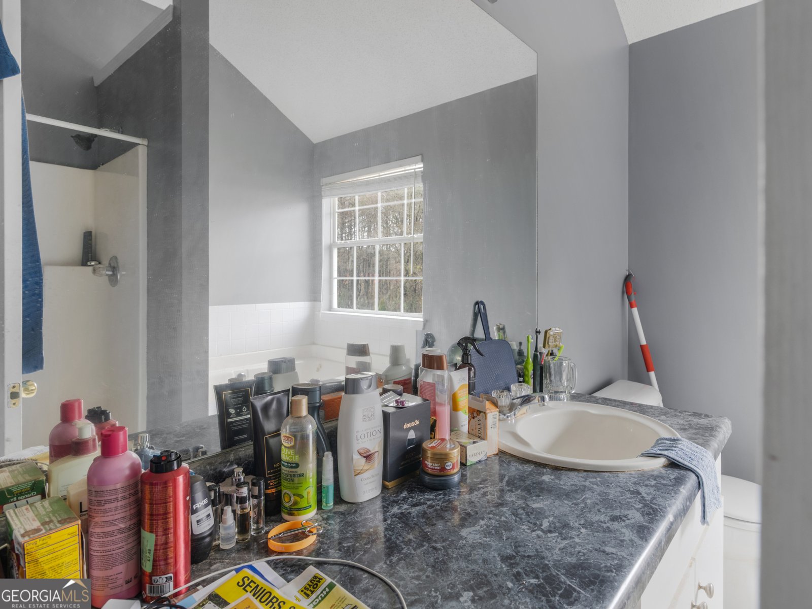 6660 Pole Creek Drive Lithonia - Photo 10