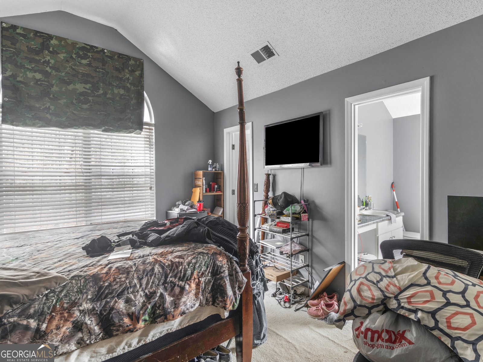 6660 Pole Creek Drive Lithonia - Photo 9