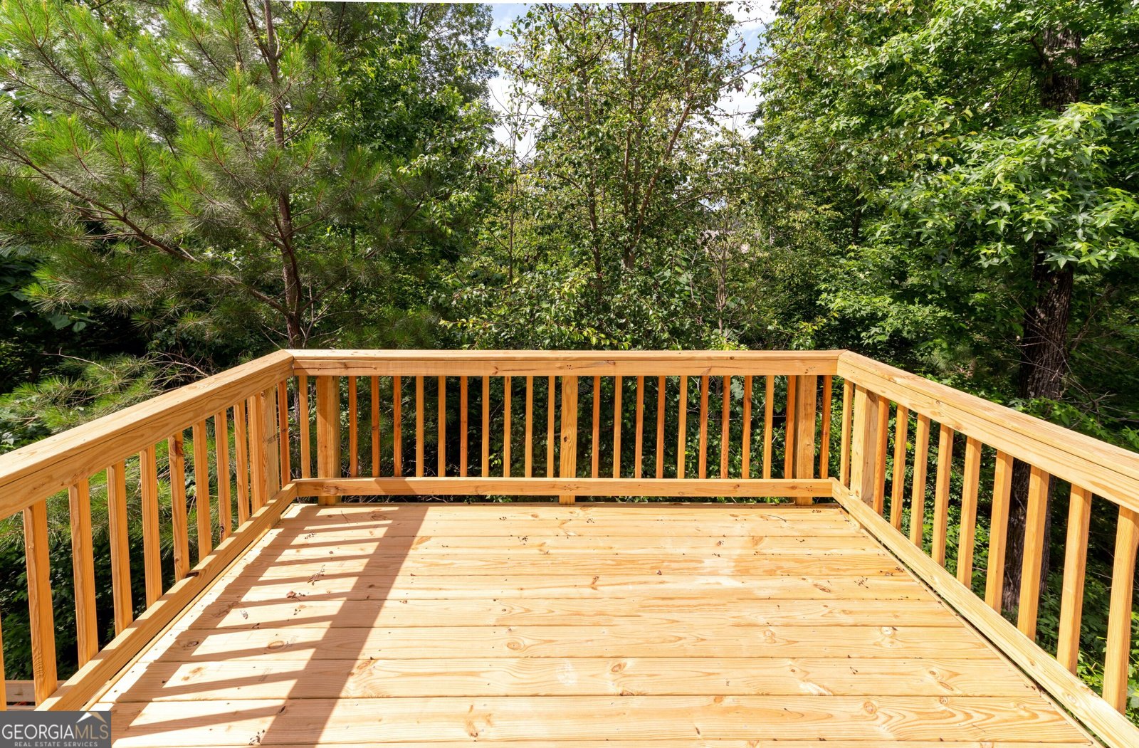 114 Canvas Ives Drive Lawrenceville - Photo 16