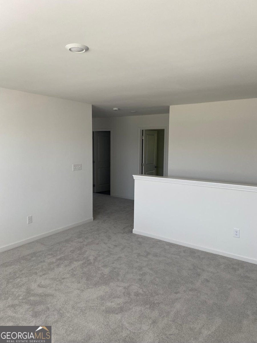 1669 Hay Patch Lane Loganville - Photo 11