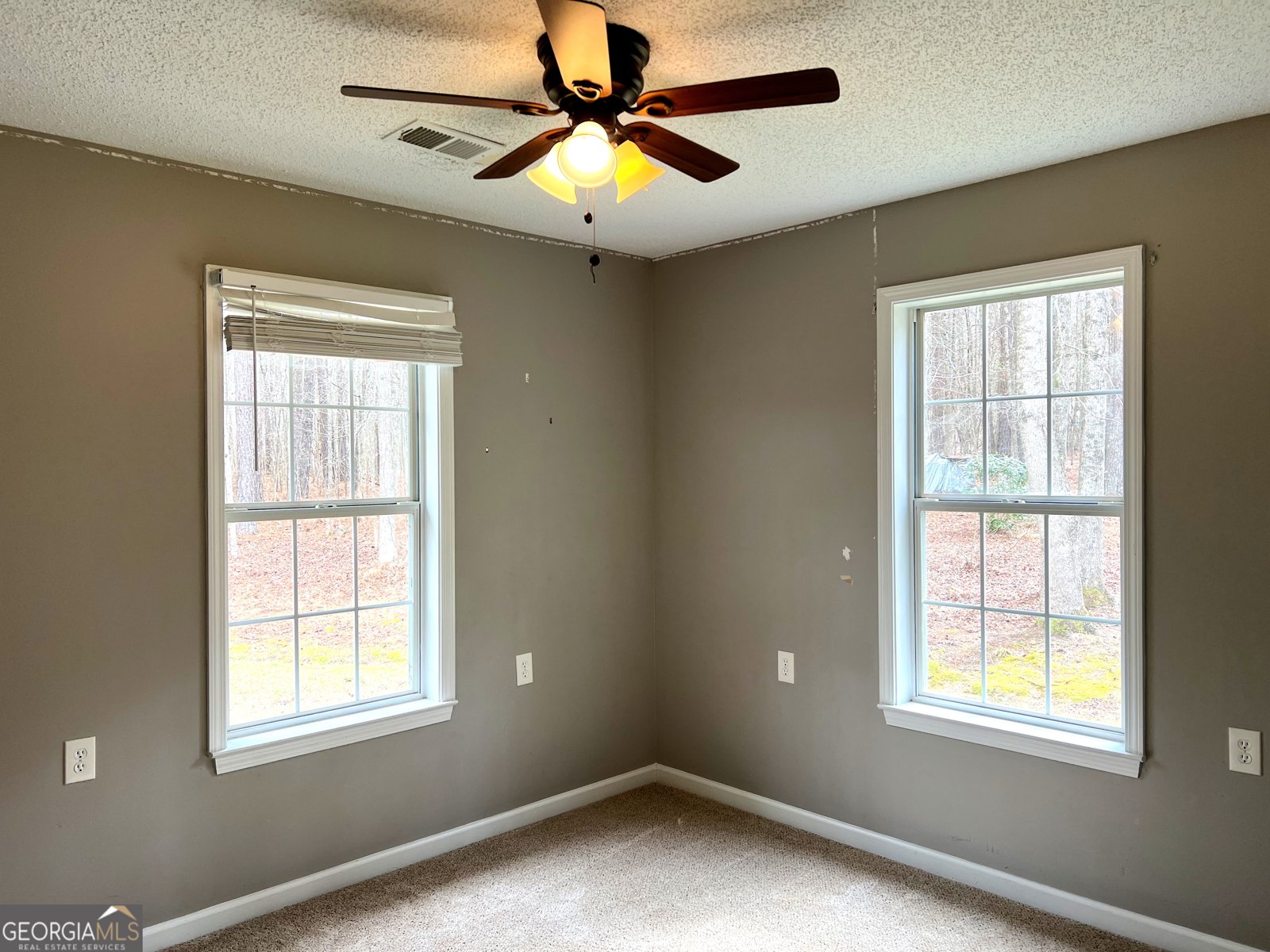 5450 Crest Highway Molena - Photo 16