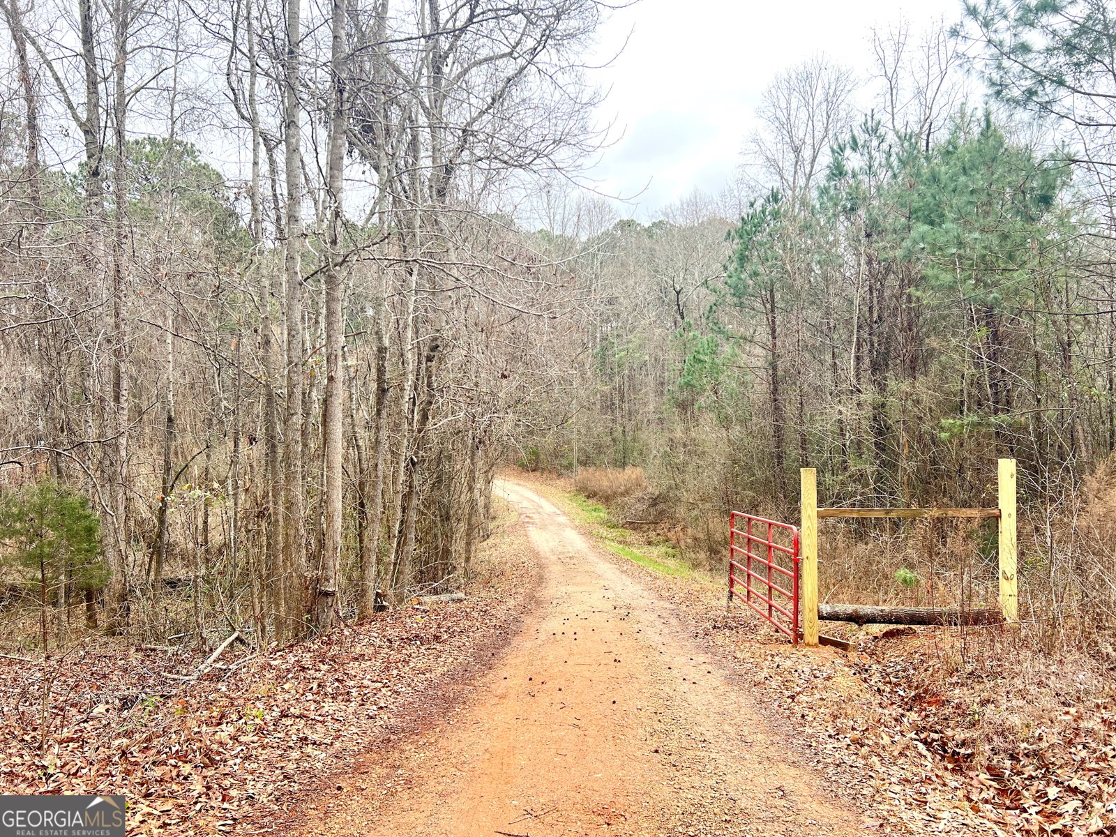 5450 Crest Highway Molena - Photo 37