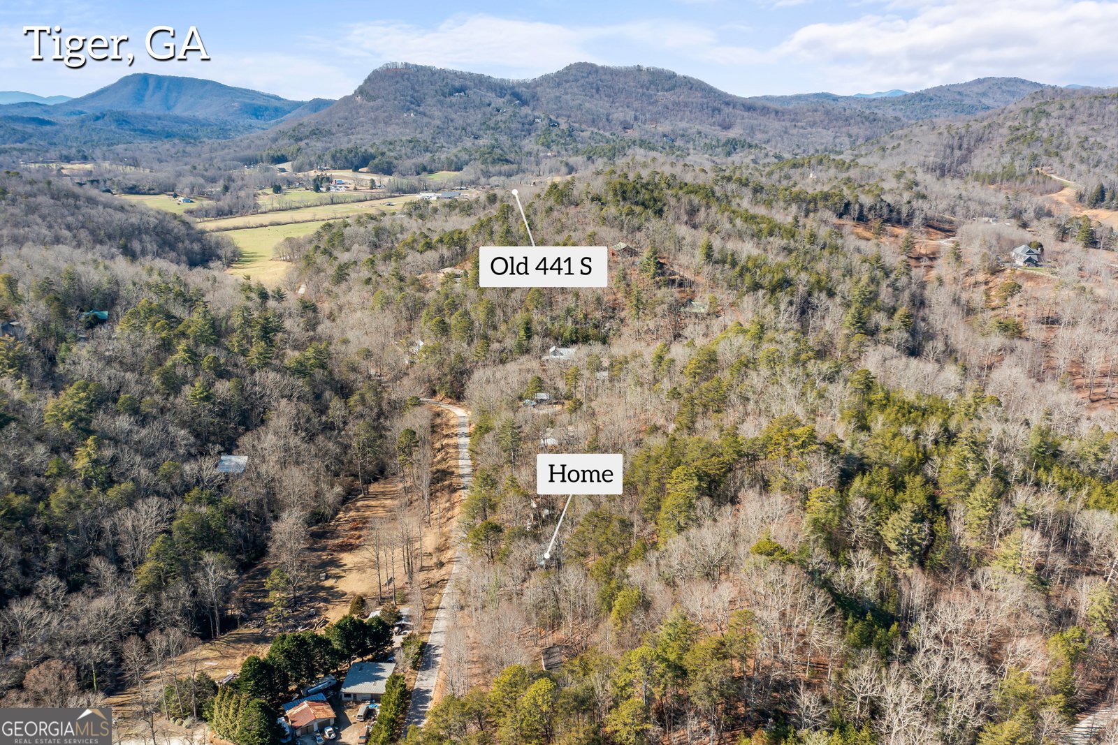 1131 Joe Davis Road Tiger - Photo 44