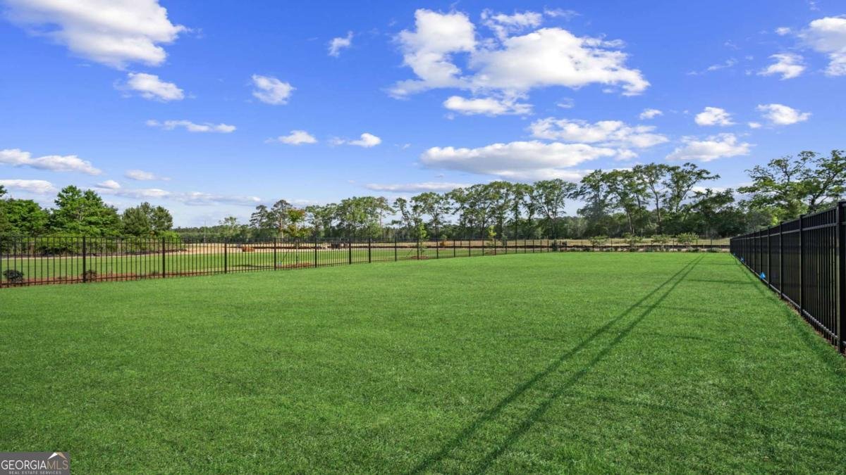 313 Royal Fern Lane Statesboro - Photo 37