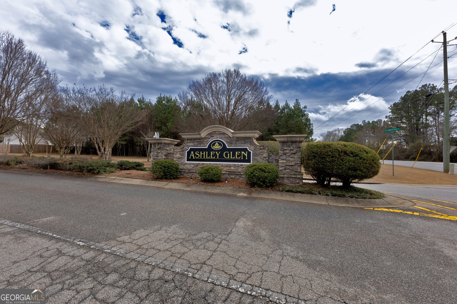 1037 Ashley Glen Drive Williamson - Photo 50