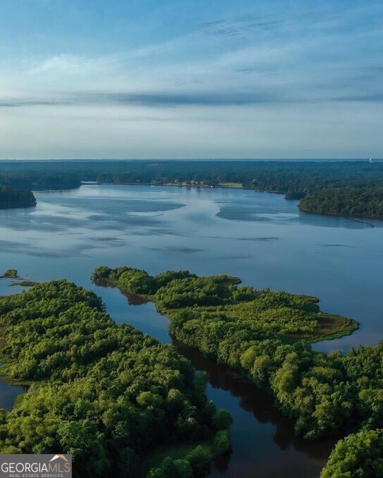 4487 Dixon Road Lizella - Photo 41