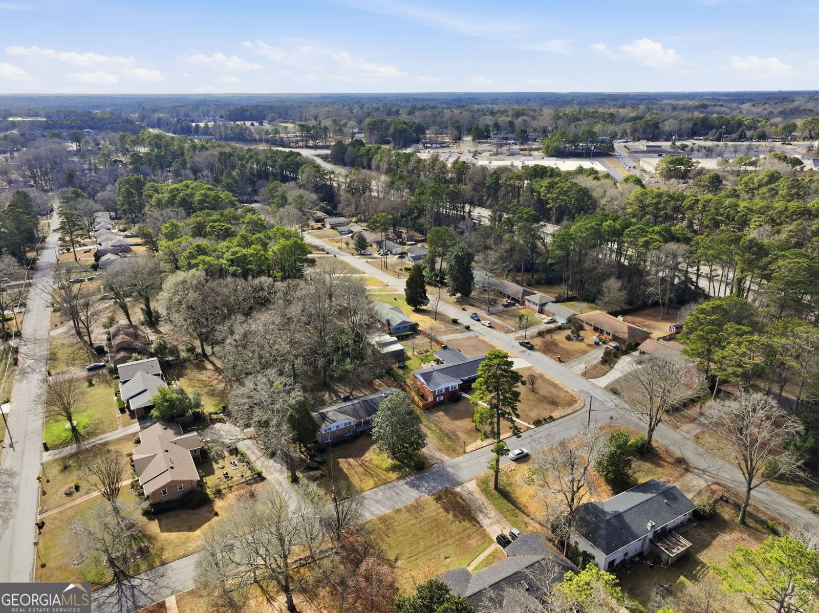 1155 Evangeline Drive Decatur - Photo 44