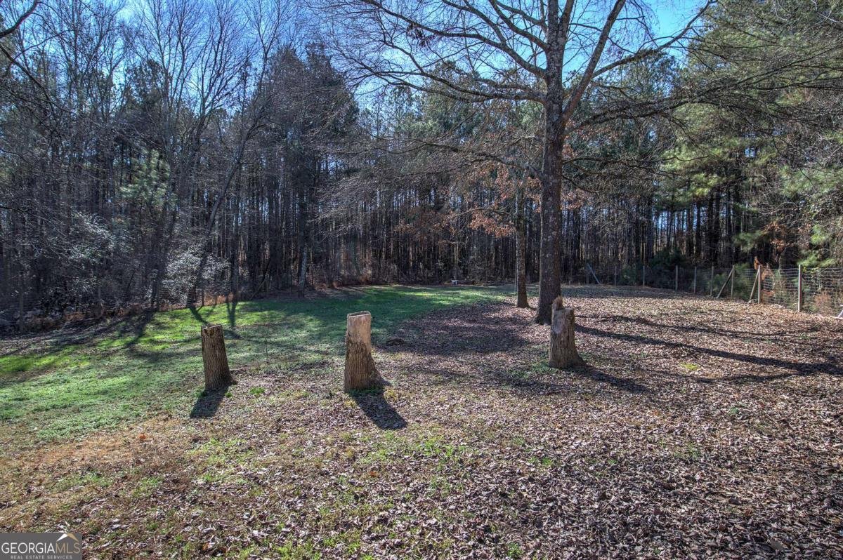 81 Old Highway 41 Adairsville - Photo 27