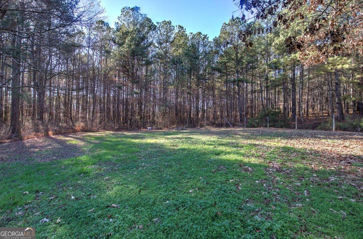 81 Old Highway 41 Adairsville - Photo 29